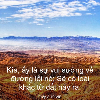 Picture 03 - Gióp 8:19 VIE - Kìa, ấy là sự vui sướng về đường - Bible Verse Picture