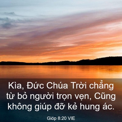 Picture 03 - Gióp 8:20 VIE - Kìa, Đức Chúa Trời chẳng từ bỏ - Bible Verse Picture