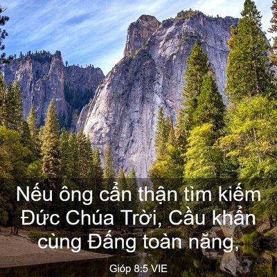 Picture 03 - Gióp 8:5 VIE - Nếu ông cẩn thận tìm kiếm Đức Chúa - Bible Verse Picture