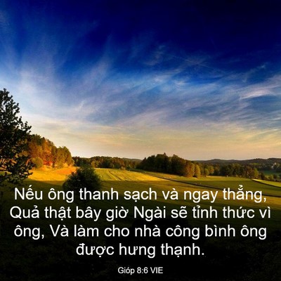 Picture 03 - Gióp 8:6 VIE - Nếu ông thanh sạch và ngay thẳng, Quả - Bible Verse Picture