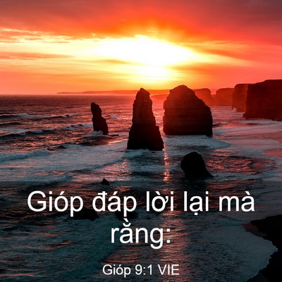 Picture 03 - Gióp 9:1 VIE - Gióp đáp lời lại mà - Bible Verse Picture