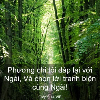 Picture 03 - Gióp 9:14 VIE - Phương chi tôi đáp lại với Ngài, Và - Bible Verse Picture