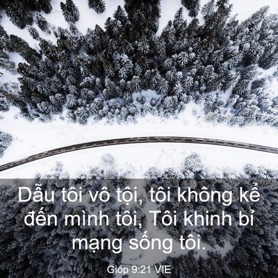 Picture 03 - Gióp 9:21 VIE - Dẫu tôi vô tội, tôi không kể đến - Bible Verse Picture