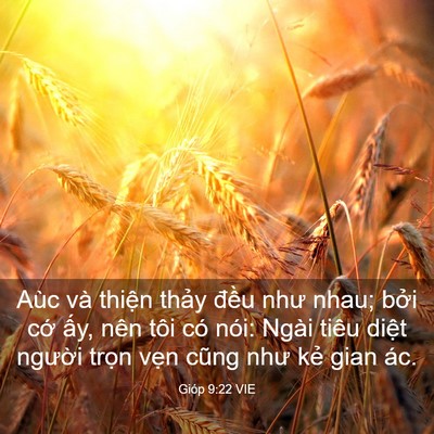 Picture 03 - Gióp 9:22 VIE - Aùc và thiện thảy đều như nhau; bởi - Bible Verse Picture