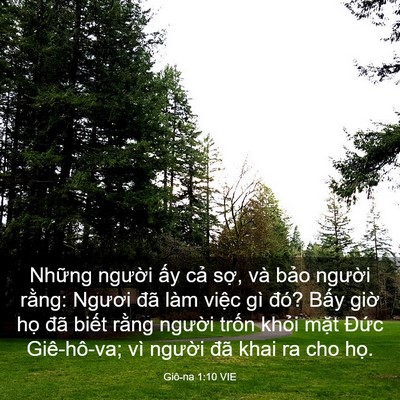 Picture 03 - Giô-na 1:10 VIE - Những người ấy cả sợ, và bảo - Bible Verse Picture