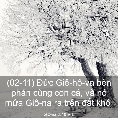 Picture 03 - Giô-na 2:10 VIE - (02-11) Đức Giê-hô-va bèn phán cùng con - Bible Verse Picture