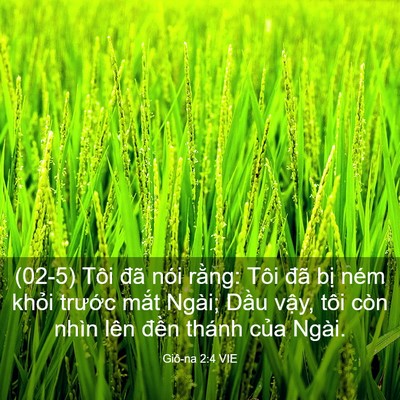 Picture 03 - Giô-na 2:4 VIE - (02-5) Tôi đã nói rằng: Tôi đã bị ném - Bible Verse Picture