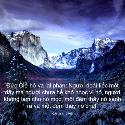 Picture 03 - Giô-na 4:10 VIE - Đức Giê-hô-va lại phán: Ngươi đoái - Bible Verse Picture