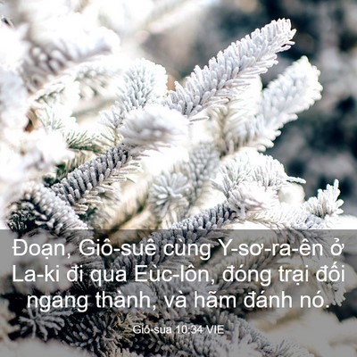 Picture 03 - Giô-sua 10:34 VIE - Đoạn, Giô-suê cùng Y-sơ-ra-ên ở La-ki - Bible Verse Picture