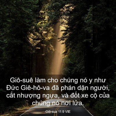 Picture 03 - Giô-sua 11:9 VIE - Giô-suê làm cho chúng nó y như Đức - Bible Verse Picture