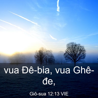 Picture 03 - Giô-sua 12:13 VIE - vua Đê-bia, vua - Bible Verse Picture