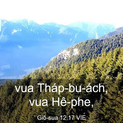 Picture 03 - Giô-sua 12:17 VIE - vua Tháp-bu-ách, vua - Bible Verse Picture