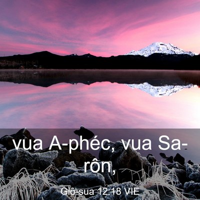 Picture 03 - Giô-sua 12:18 VIE - vua A-phéc, vua - Bible Verse Picture