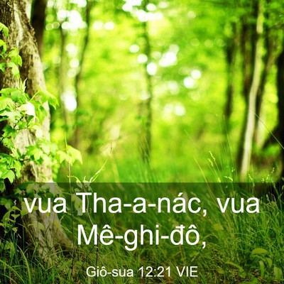 Picture 03 - Giô-sua 12:21 VIE - vua Tha-a-nác, vua - Bible Verse Picture
