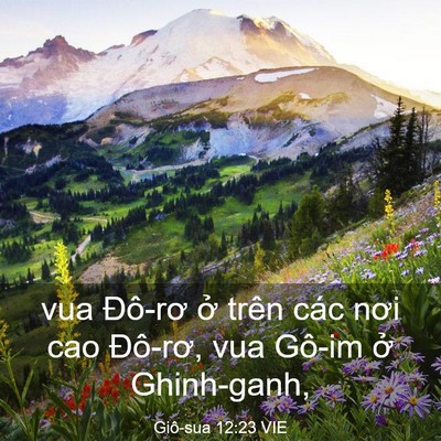 Picture 03 - Giô-sua 12:23 VIE - vua Đô-rơ ở trên các nơi cao Đô-rơ, - Bible Verse Picture