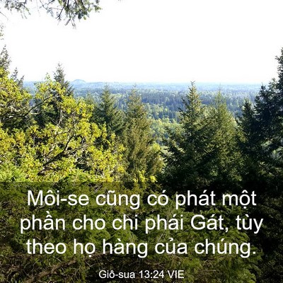 Picture 03 - Giô-sua 13:24 VIE - Môi-se cũng có phát một phần cho chi - Bible Verse Picture