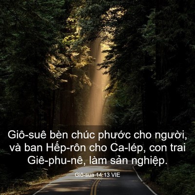 Picture 03 - Giô-sua 14:13 VIE - Giô-suê bèn chúc phước cho người, và - Bible Verse Picture