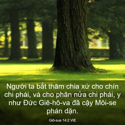 Picture 03 - Giô-sua 14:2 VIE - Người ta bắt thăm chia xứ cho chín chi - Bible Verse Picture