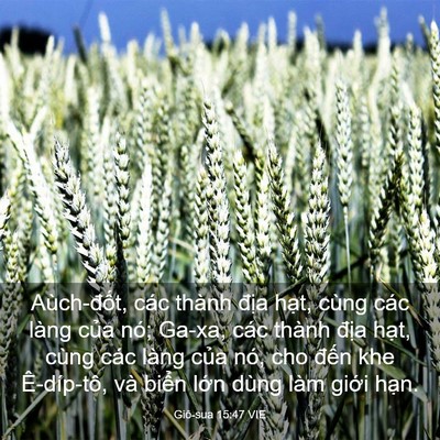 Picture 03 - Giô-sua 15:47 VIE - Aùch-đốt, các thành địa hạt, cùng - Bible Verse Picture