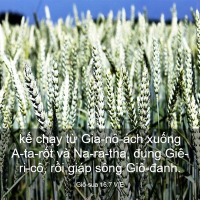 Picture 03 - Giô-sua 16:7 VIE - kế chạy từ Gia-nô-ách xuống A-ta-rốt - Bible Verse Picture