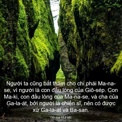 Picture 03 - Giô-sua 17:1 VIE - Người ta cũng bắt thăm cho chi phái - Bible Verse Picture