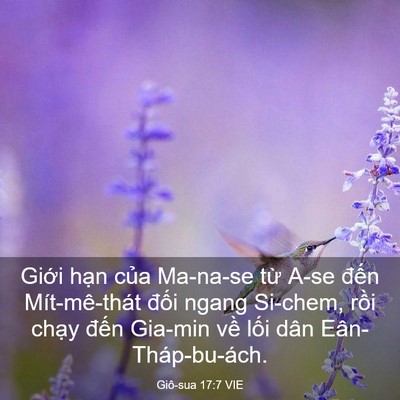 Picture 03 - Giô-sua 17:7 VIE - Giới hạn của Ma-na-se từ A-se đến - Bible Verse Picture