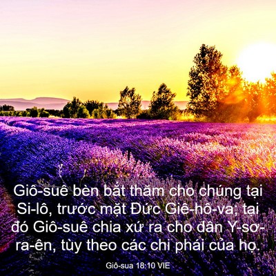 Picture 03 - Giô-sua 18:10 VIE - Giô-suê bèn bắt thăm cho chúng tại - Bible Verse Picture