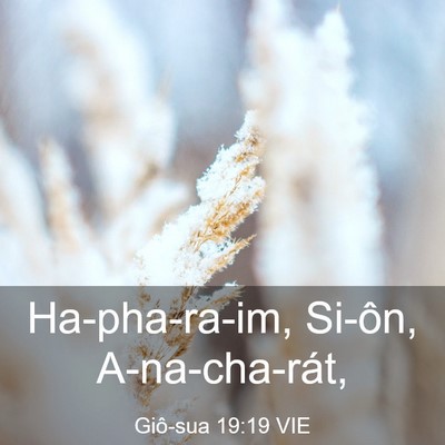 Picture 03 - Giô-sua 19:19 VIE - Ha-pha-ra-im, Si-ôn, - Bible Verse Picture