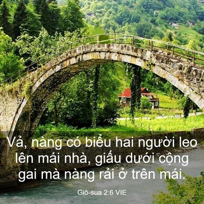 Picture 03 - Giô-sua 2:6 VIE - Vả, nàng có biểu hai người leo lên mái - Bible Verse Picture