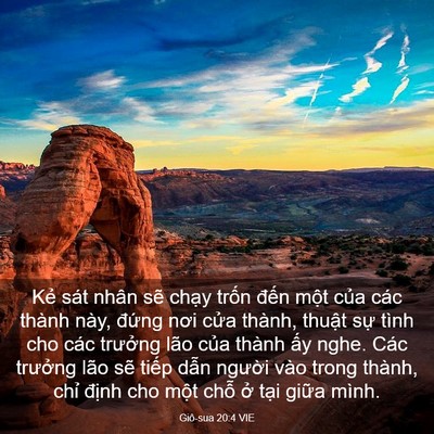 Picture 03 - Giô-sua 20:4 VIE - Kẻ sát nhân sẽ chạy trốn đến một - Bible Verse Picture