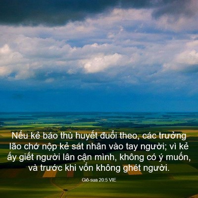 Picture 03 - Giô-sua 20:5 VIE - Nếu kẻ báo thù huyết đuổi theo, các - Bible Verse Picture