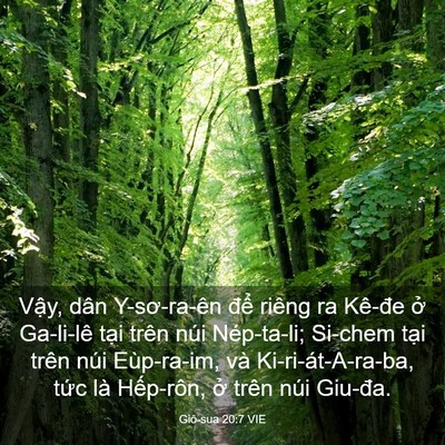 Picture 03 - Giô-sua 20:7 VIE - Vậy, dân Y-sơ-ra-ên để riêng ra Kê-đe - Bible Verse Picture