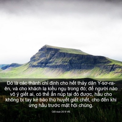 Picture 03 - Giô-sua 20:9 VIE - Đó là các thành chỉ định cho hết - Bible Verse Picture