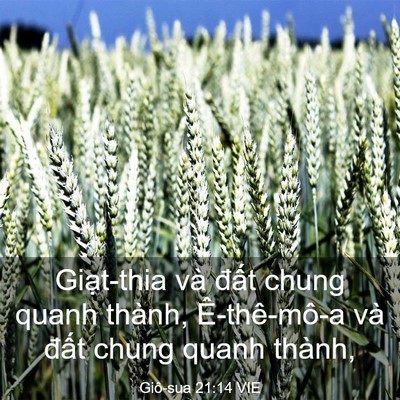 Picture 03 - Giô-sua 21:14 VIE - Giạt-thia và đất chung quanh thành, - Bible Verse Picture