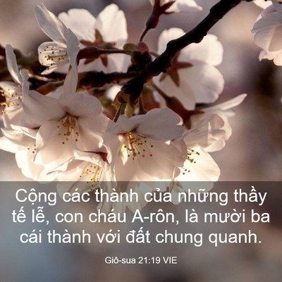 Picture 03 - Giô-sua 21:19 VIE - Cộng các thành của những thầy tế - Bible Verse Picture