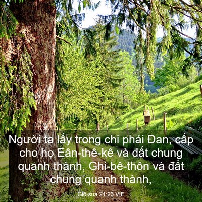 Picture 03 - Giô-sua 21:23 VIE - Người ta lấy trong chi phái Đan, cấp cho - Bible Verse Picture