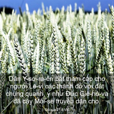 Picture 03 - Giô-sua 21:8 VIE - Dân Y-sơ-ra-ên bắt thăm cấp cho người - Bible Verse Picture