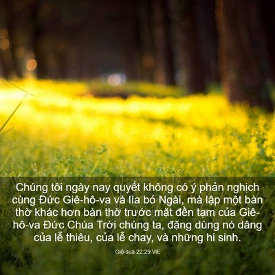 Picture 03 - Giô-sua 22:29 VIE - Chúng tôi ngày nay quyết không có ý - Bible Verse Picture