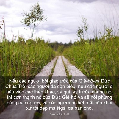 Picture 03 - Giô-sua 23:16 VIE - Nếu các ngươi bội giao ước của - Bible Verse Picture