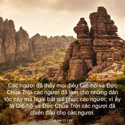 Picture 03 - Giô-sua 23:3 VIE - Các ngươi đã thấy mọi điều - Bible Verse Picture