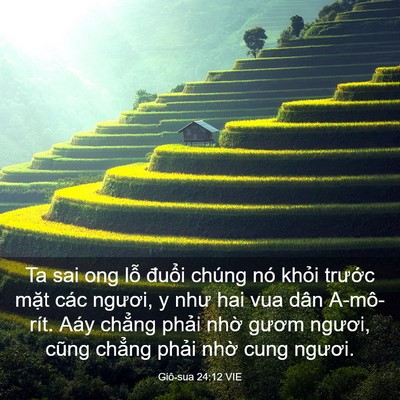Picture 03 - Giô-sua 24:12 VIE - Ta sai ong lỗ đuổi chúng nó khỏi - Bible Verse Picture