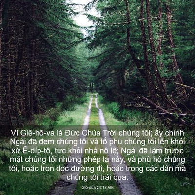 Picture 03 - Giô-sua 24:17 VIE - Vì Giê-hô-va là Đức Chúa Trời chúng - Bible Verse Picture