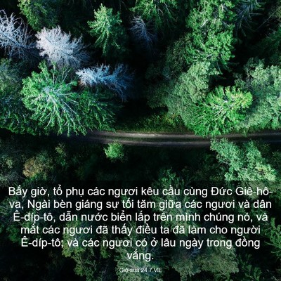 Picture 03 - Giô-sua 24:7 VIE - Bấy giờ, tổ phụ các ngươi kêu cầu - Bible Verse Picture