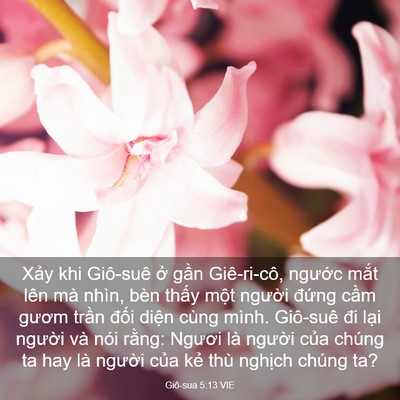 Picture 03 - Giô-sua 5:13 VIE - Xảy khi Giô-suê ở gần Giê-ri-cô, - Bible Verse Picture