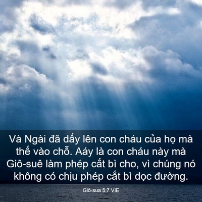 Picture 03 - Giô-sua 5:7 VIE - Và Ngài đã dấy lên con cháu của họ - Bible Verse Picture