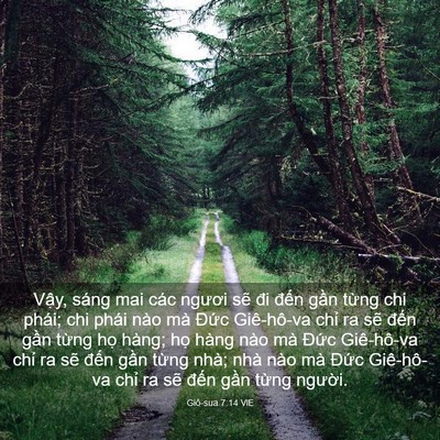 Picture 03 - Giô-sua 7:14 VIE - Vậy, sáng mai các ngươi sẽ đi đến - Bible Verse Picture