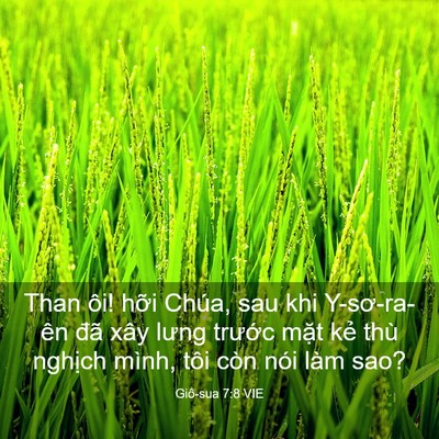 Picture 03 - Giô-sua 7:8 VIE - Than ôi! hỡi Chúa, sau khi Y-sơ-ra-ên đã - Bible Verse Picture
