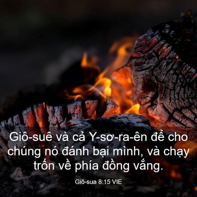 Picture 03 - Giô-sua 8:15 VIE - Giô-suê và cả Y-sơ-ra-ên để cho chúng - Bible Verse Picture