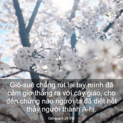 Picture 03 - Giô-sua 8:26 VIE - Giô-suê chẳng rút lại tay mình đã cầm - Bible Verse Picture
