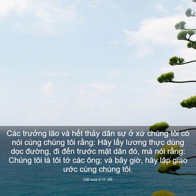 Picture 03 - Giô-sua 9:11 VIE - Các trưởng lão và hết thảy dân sự - Bible Verse Picture